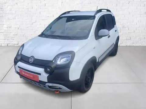 Annonce FIAT PANDA Essence 2022 d'occasion 