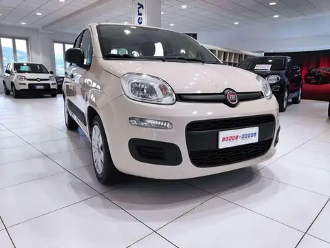 Annonce FIAT PANDA Essence 2017 d'occasion 