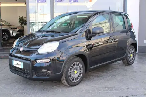 Used FIAT PANDA Hybrid 2023 Ad 