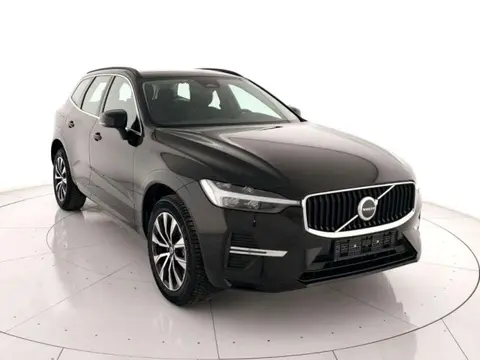 Used VOLVO XC60 Hybrid 2024 Ad 