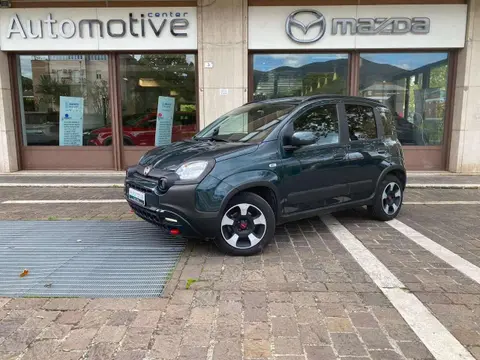 Used FIAT PANDA Hybrid 2023 Ad 