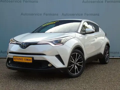 Used TOYOTA C-HR Hybrid 2018 Ad 