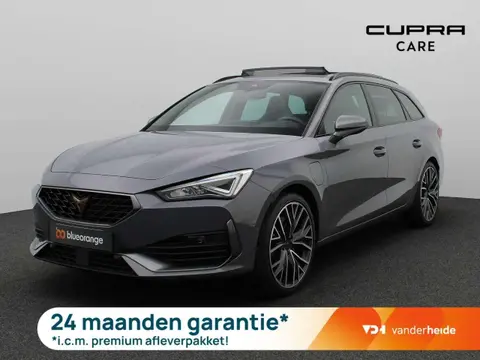 Used CUPRA LEON Hybrid 2024 Ad 