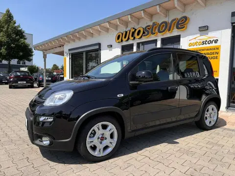 Used FIAT PANDA Petrol 2024 Ad 