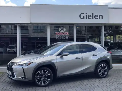 Used LEXUS UX Hybrid 2021 Ad 