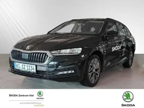 Annonce SKODA OCTAVIA Diesel 2024 d'occasion 