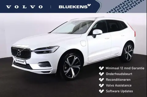 Annonce VOLVO XC60 Hybride 2021 d'occasion 