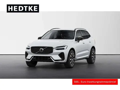 Annonce VOLVO XC60 Diesel 2024 d'occasion 