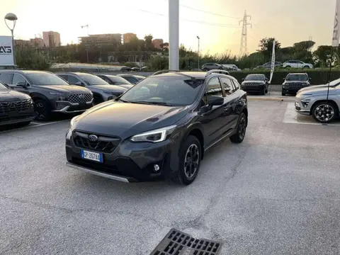 Annonce SUBARU XV Essence 2023 d'occasion 