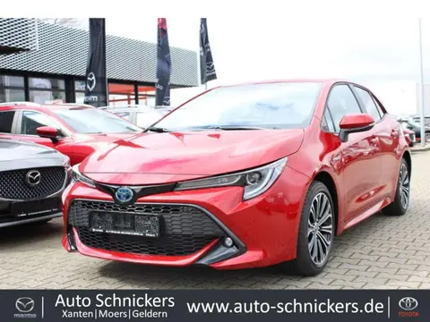 Annonce TOYOTA COROLLA Hybride 2021 d'occasion Allemagne