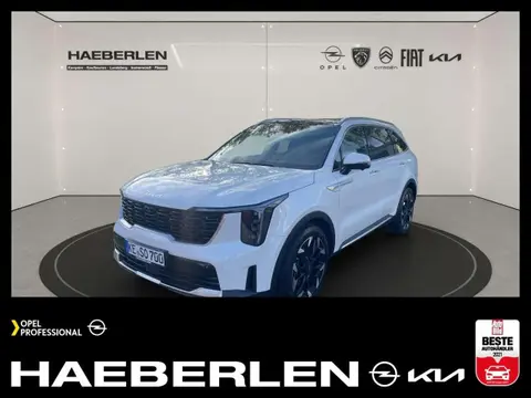 Annonce KIA SORENTO Diesel 2024 d'occasion 