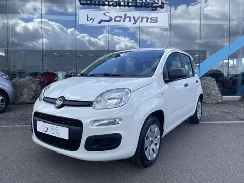 Annonce FIAT PANDA Essence 2020 d'occasion 