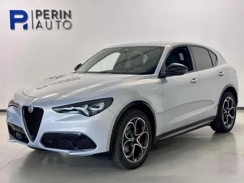 Annonce ALFA ROMEO STELVIO Diesel 2024 d'occasion 