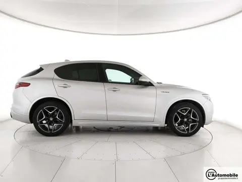 Used ALFA ROMEO STELVIO Diesel 2021 Ad 