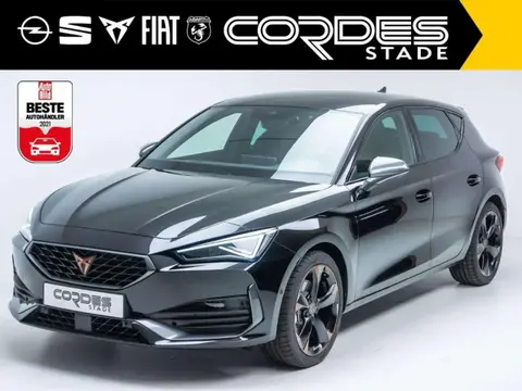 Used CUPRA LEON Petrol 2023 Ad 