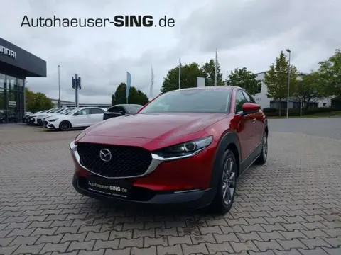 Annonce MAZDA CX-30 Essence 2024 d'occasion 