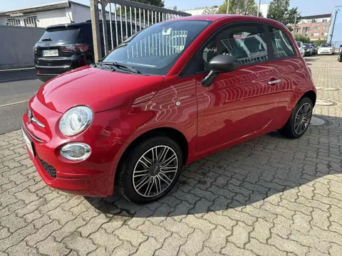 Used FIAT 500 Petrol 2019 Ad 