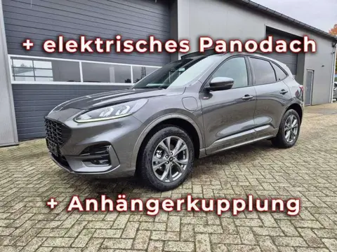 Annonce FORD KUGA Hybride 2024 d'occasion 