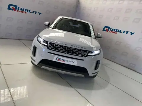 Used LAND ROVER RANGE ROVER EVOQUE Diesel 2019 Ad 