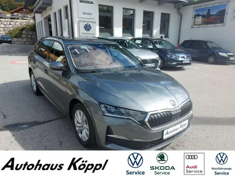 Used SKODA OCTAVIA Petrol 2024 Ad 