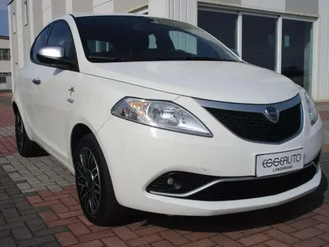 Used LANCIA YPSILON Diesel 2017 Ad 