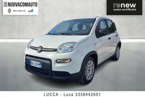 Annonce FIAT PANDA Hybride 2023 d'occasion 