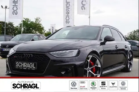 Used AUDI RS4 Petrol 2023 Ad 