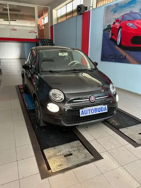 Used FIAT 500 Hybrid 2022 Ad 