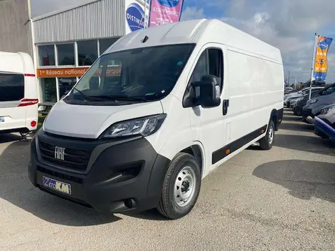 Used FIAT DUCATO Diesel 2022 Ad 