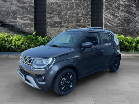 Used SUZUKI IGNIS Petrol 2024 Ad 