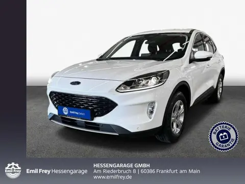 Used FORD KUGA Hybrid 2022 Ad 