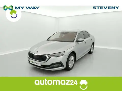 Used SKODA OCTAVIA Petrol 2021 Ad 