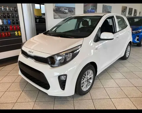 Annonce KIA PICANTO GPL 2024 d'occasion 