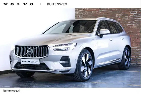 Annonce VOLVO XC60 Hybride 2024 d'occasion 