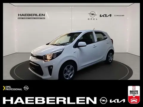 Used KIA PICANTO Petrol 2024 Ad 