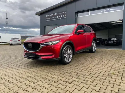 Annonce MAZDA CX-5 Diesel 2019 d'occasion 