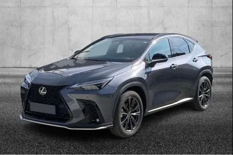 Used LEXUS NX Hybrid 2023 Ad 