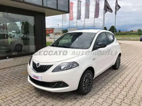 Used LANCIA YPSILON Hybrid 2024 Ad 