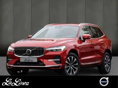 Annonce VOLVO XC60 Diesel 2023 d'occasion 