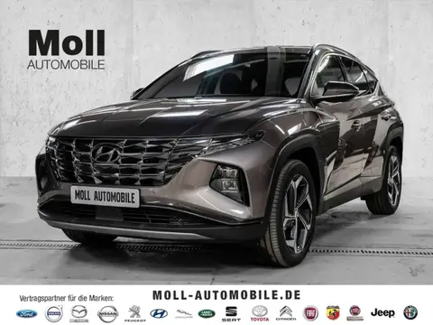 Annonce HYUNDAI TUCSON Hybride 2023 d'occasion 