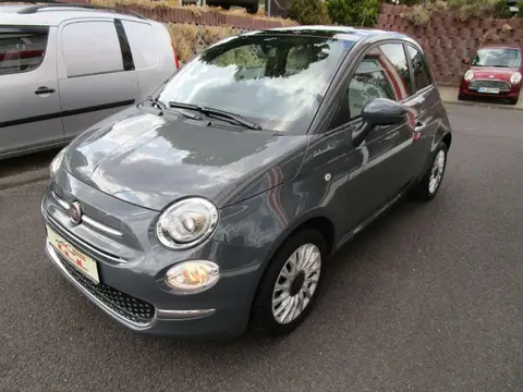 Used FIAT 500 Petrol 2021 Ad 