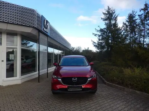 Annonce MAZDA CX-5 Hybride 2024 d'occasion 