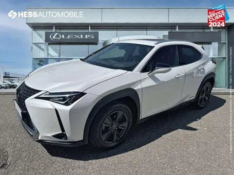 Annonce LEXUS UX  2020 d'occasion 