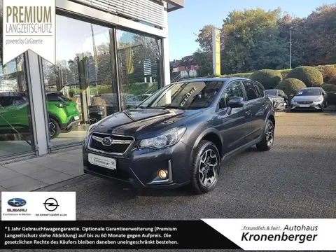 Annonce SUBARU XV Diesel 2016 d'occasion 