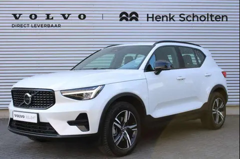 Used VOLVO XC40 Hybrid 2024 Ad 