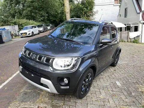 Used SUZUKI IGNIS Hybrid 2024 Ad 