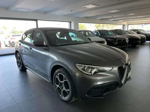 Used ALFA ROMEO STELVIO Diesel 2020 Ad 