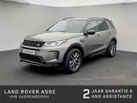 Annonce LAND ROVER DISCOVERY Hybride 2024 d'occasion 