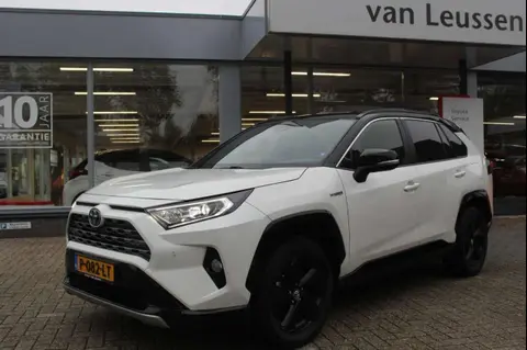 Used TOYOTA RAV4 Hybrid 2019 Ad 