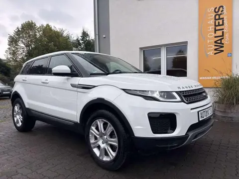 Used LAND ROVER RANGE ROVER EVOQUE Diesel 2019 Ad 